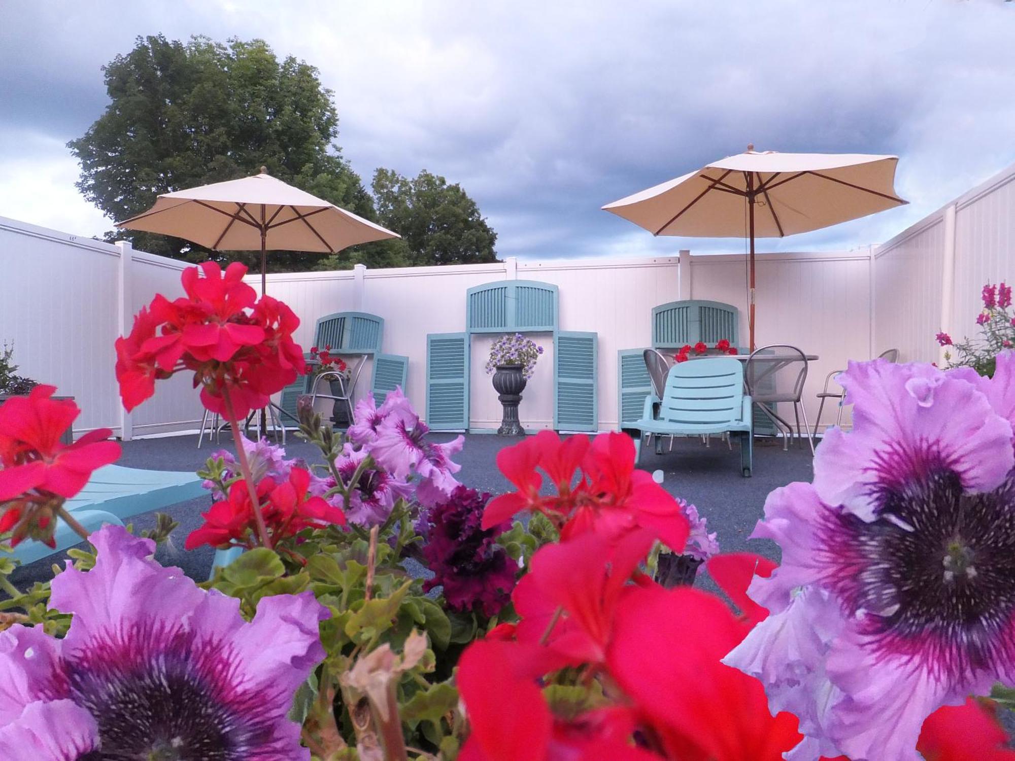 Windsor Motel Lake George Zewnętrze zdjęcie